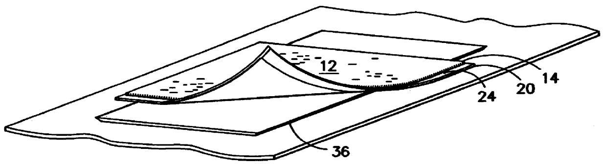 Floor mat solely comprised of monofilament nylon fiber and having an ozone resistant, non-staining rubber backing sheet