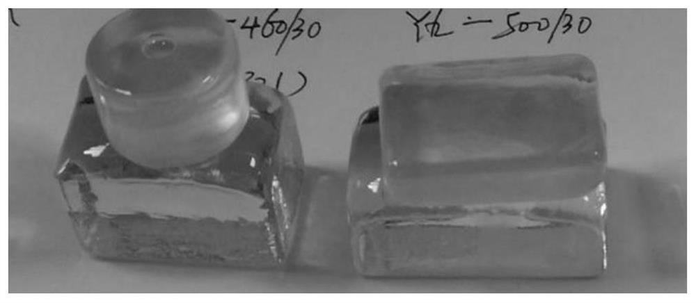 Rapid coloring process of lithium disilicate microcrystalline glass