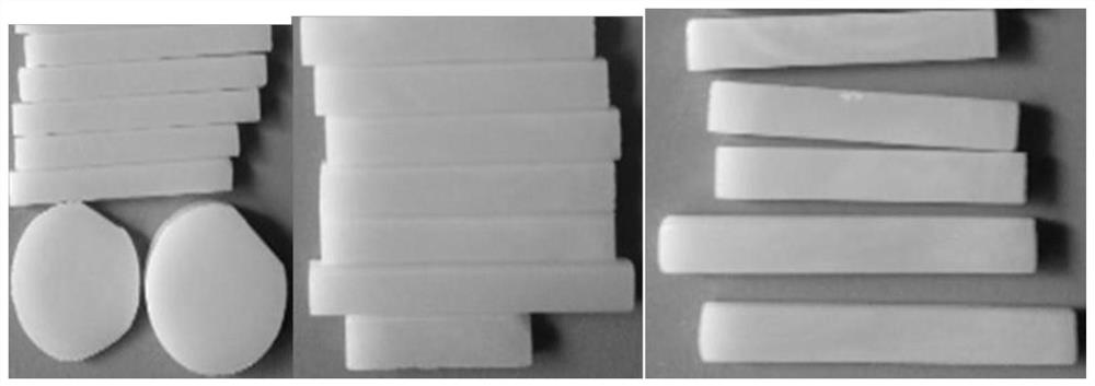 Rapid coloring process of lithium disilicate microcrystalline glass