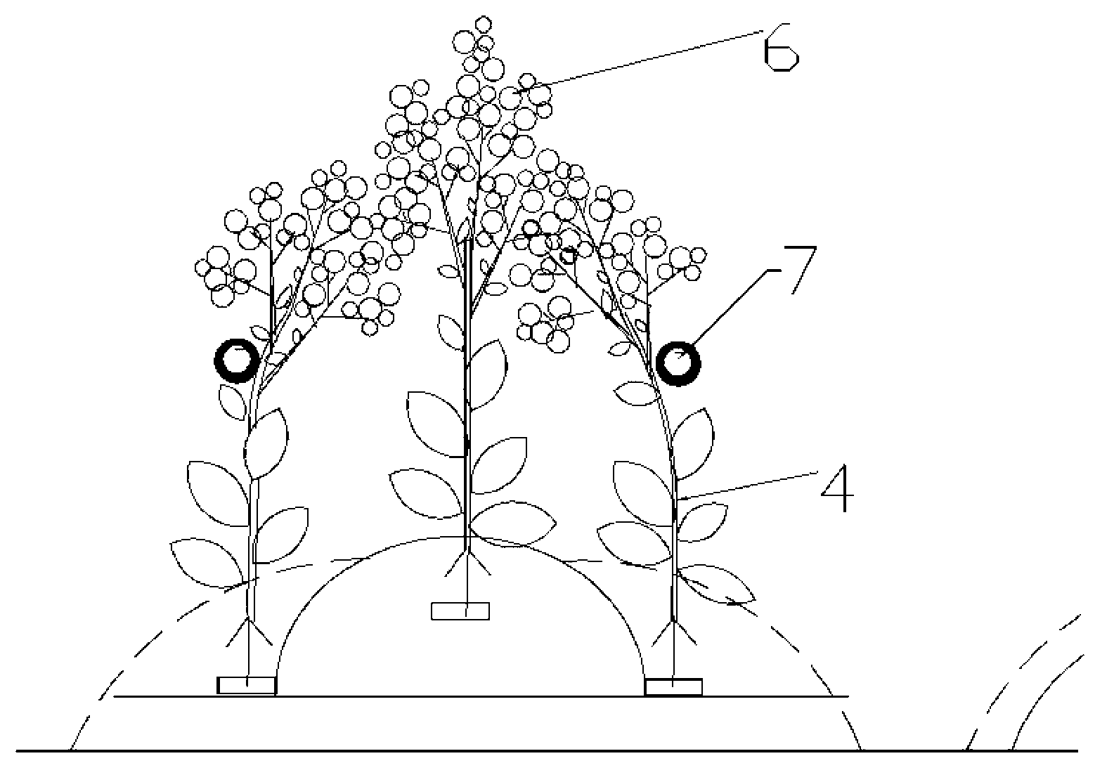 Propagation method for tobacco seeds by artificial supplementary pollination