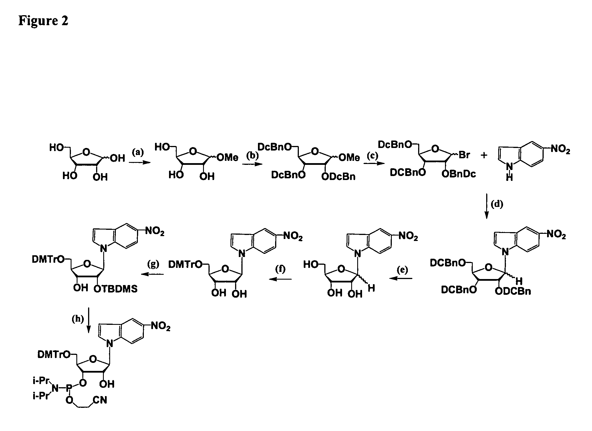 Oligonucleotides comprising a modified or non-natural nucleobase