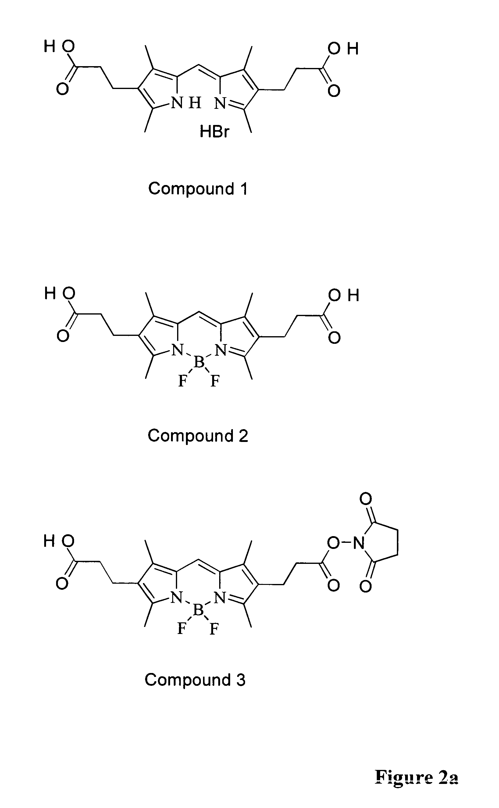 Two-photon absorbing dipyrrometheneboron difluoride dyes and their applications