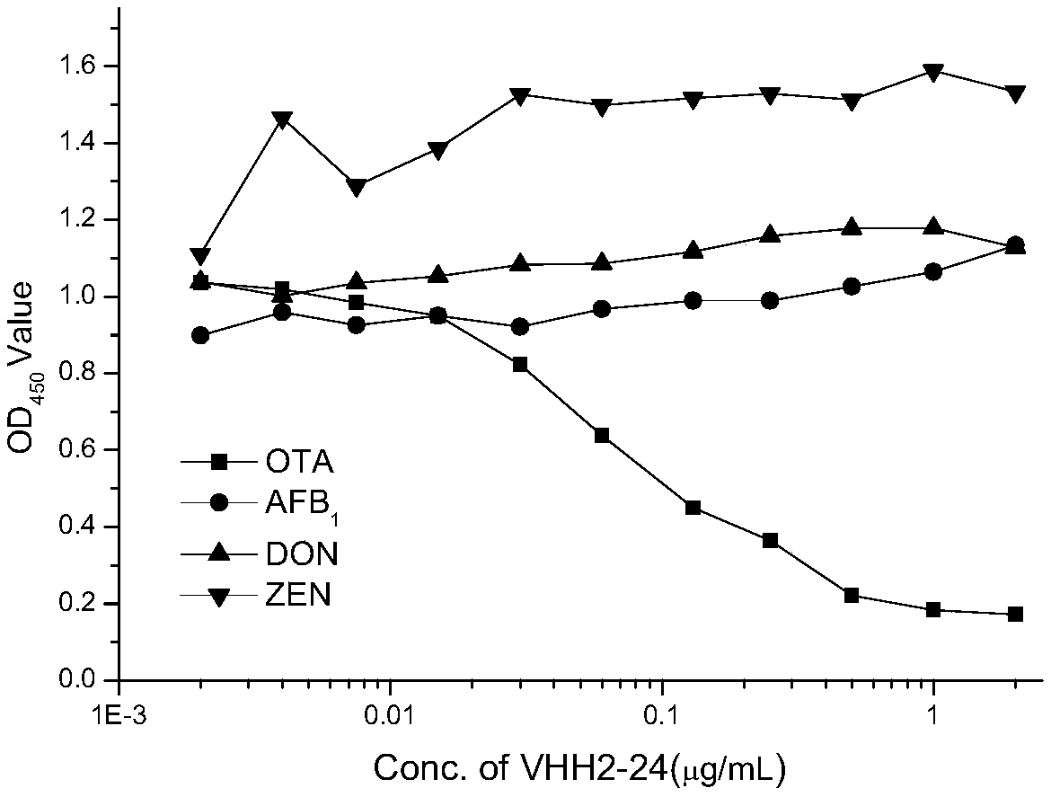 Application of ochratoxin A anti-idiotypic nano-antibody used as ochratoxin A standard substitute