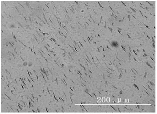 A preparation method of bacterial cellulose membrane tissue engineering artificial tendon scaffold