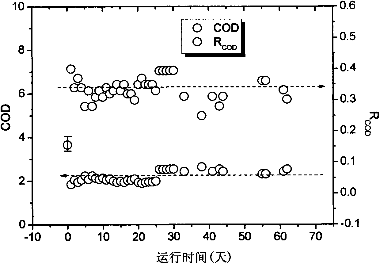 High-efficiency dense-medium coagulating sedimentation water treatment process