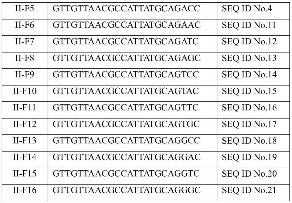 Rapid identification method for African swine fever virus gene type II and non-type II and application of rapid identification method