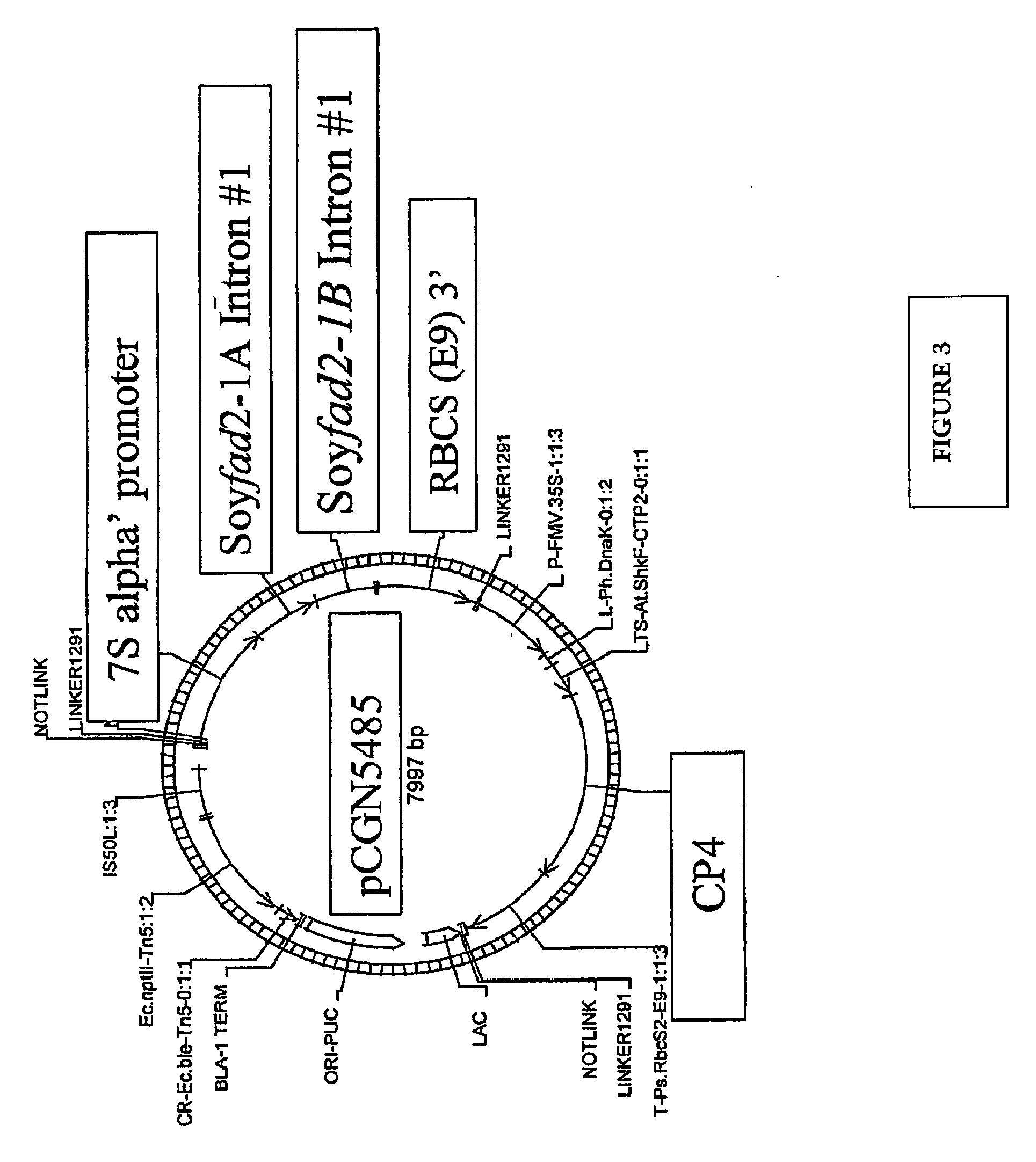 Soybean Seed And Oil Compositions And Methods of Making Same