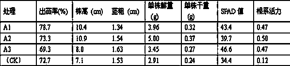 Vegetable seedling substrate and preparation method thereof