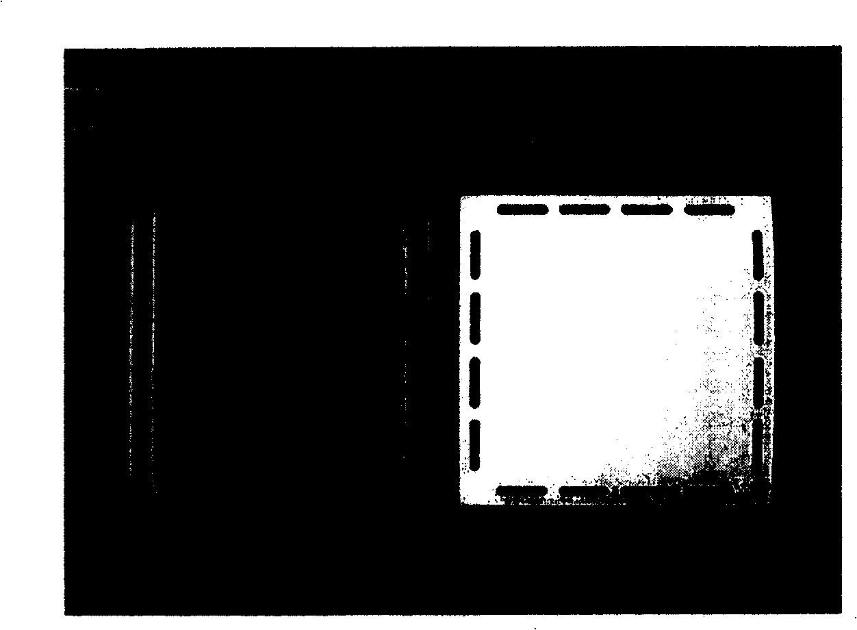 Medium and high temperature sealing method of plate type solid oxide fuel battery and its sealing material