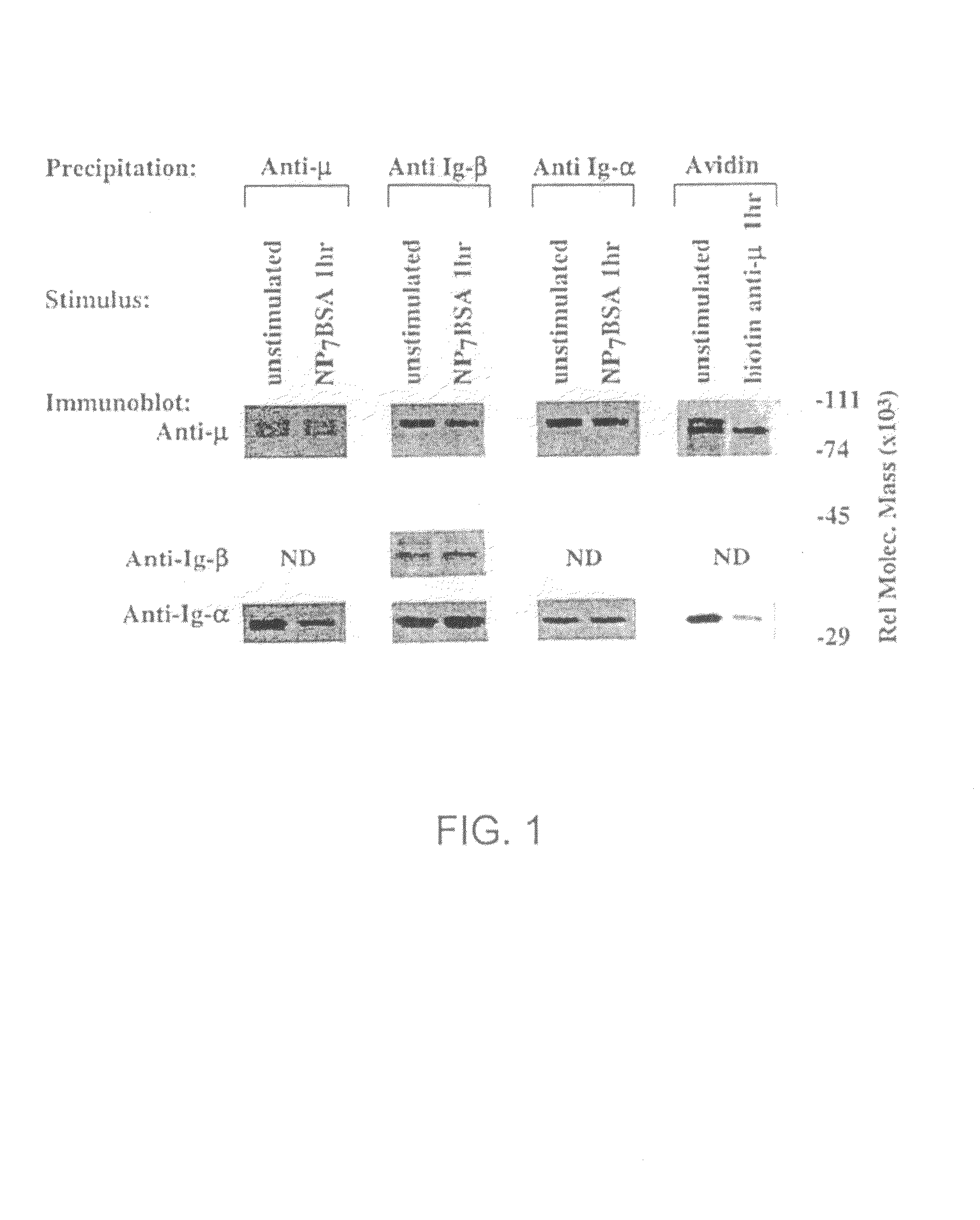 Product and method for treatment of conditions associated with receptor-desensitization