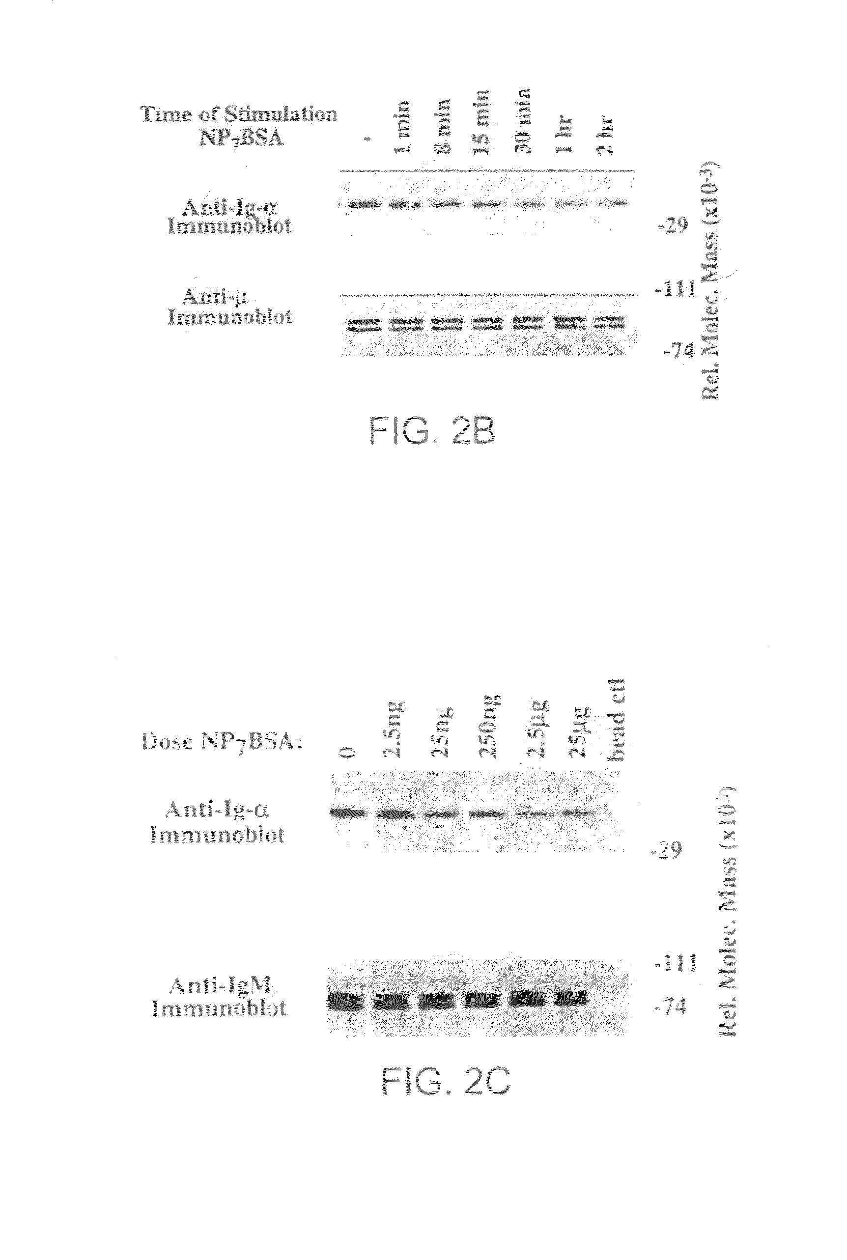 Product and method for treatment of conditions associated with receptor-desensitization