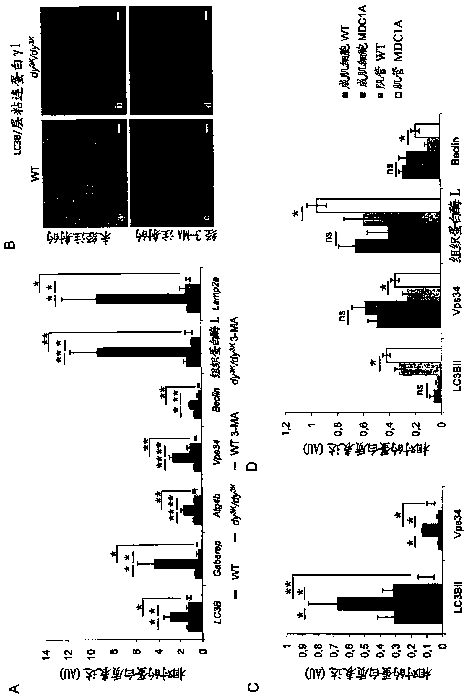 Novel treatments