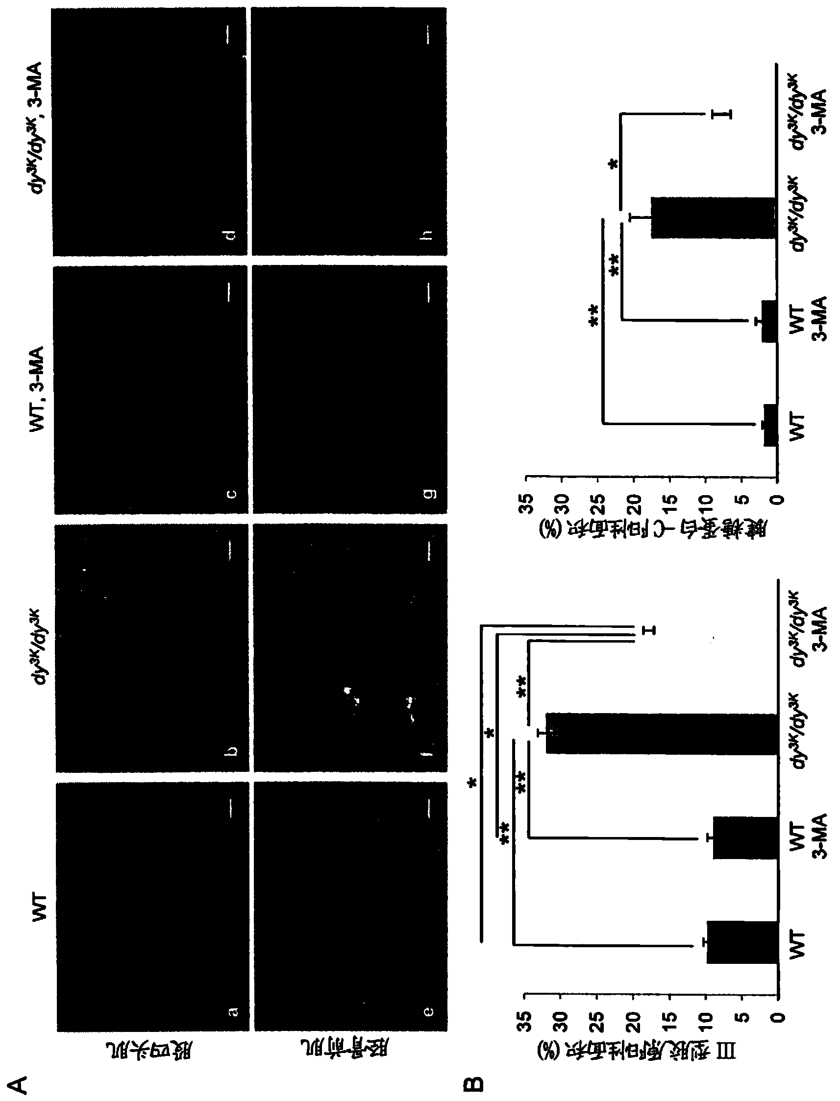 Novel treatments