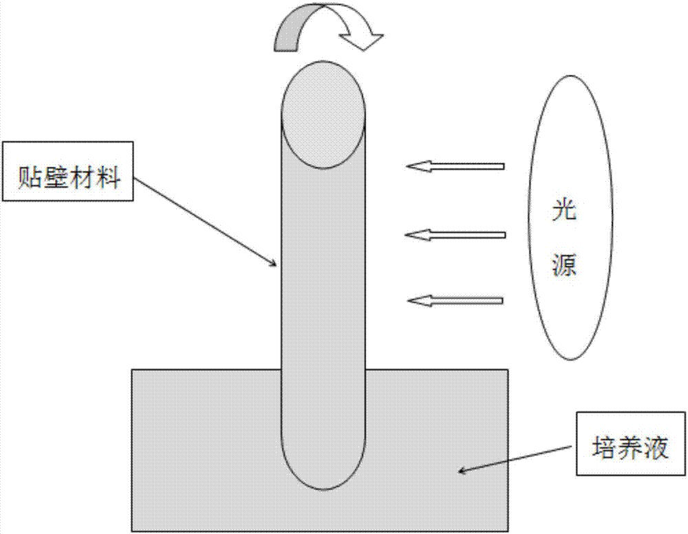 Method of subjecting Haematococcus pluvialis to attachment culture with rotary biomembrane reactor to produce astaxanthin