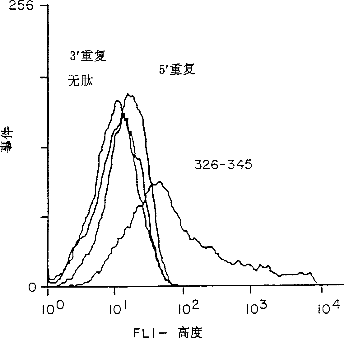 Universal T-cell epitopes for anti-malarial vaccines