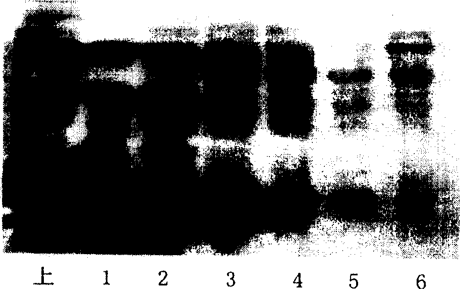 Low pyrogen staphylokinase and its preparation method