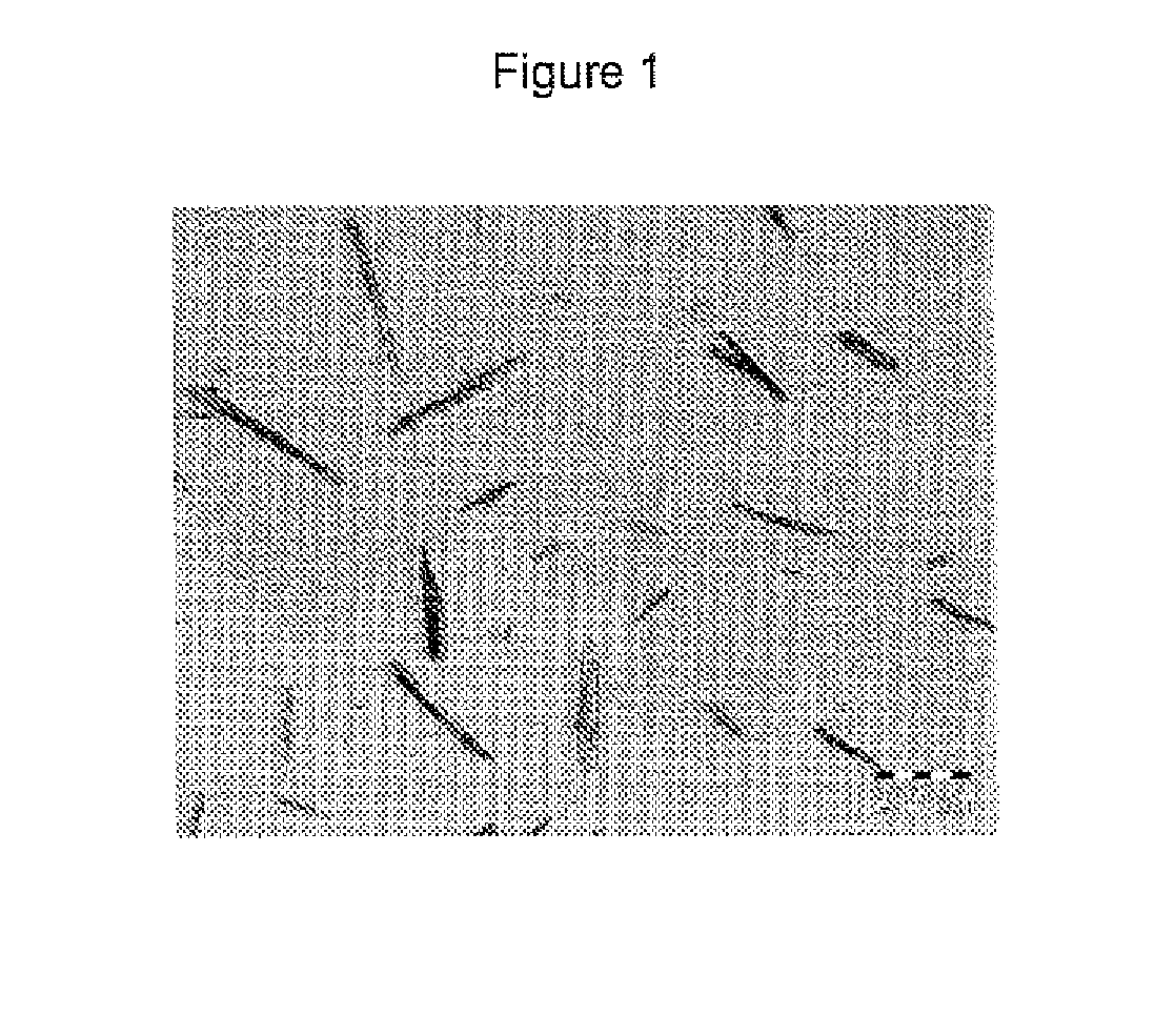 Gastro-resistant pharmaceutical oral compositions comprising duloxetine or its pharmaceutically acceptable derivatives