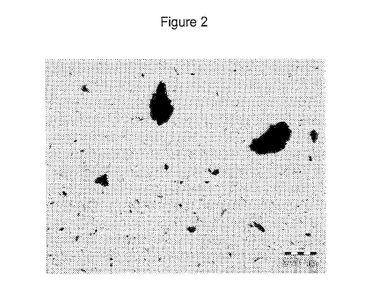 Gastro-resistant pharmaceutical oral compositions comprising duloxetine or its pharmaceutically acceptable derivatives