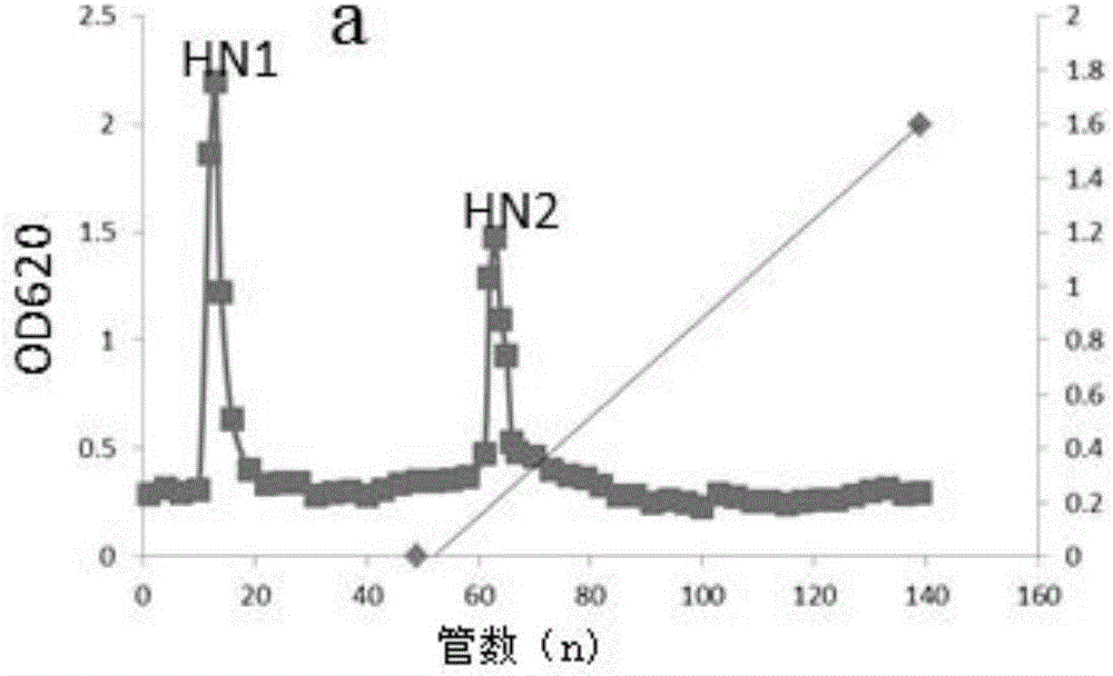 Anti-oxidation polysaccharide in boletus subsplendidus as well as preparation method and application thereof