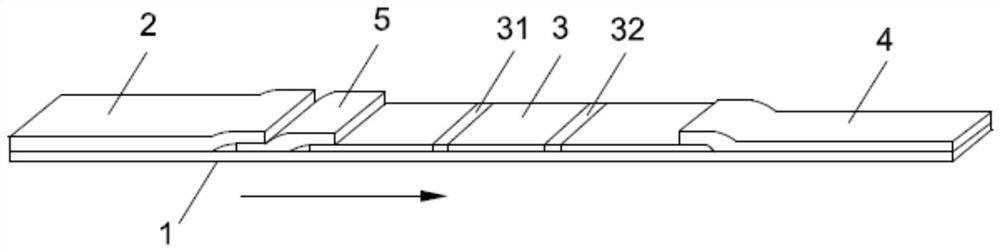 Immunochromatographic test strip and device comprising the same