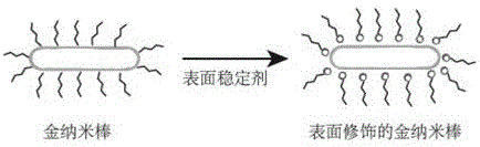 Memory based on polymer composite material and preparation method thereof