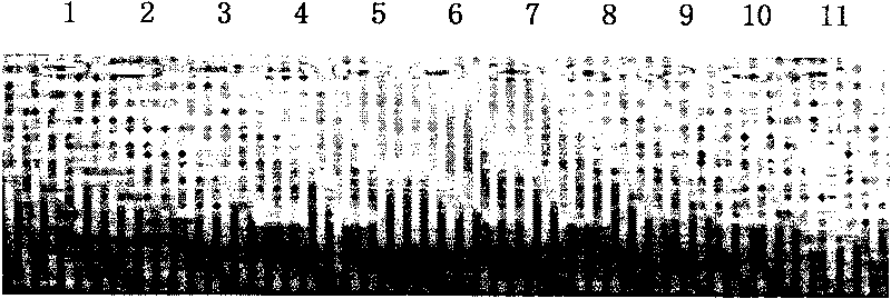 Method for extracting DNA from formalin-fixed tissue