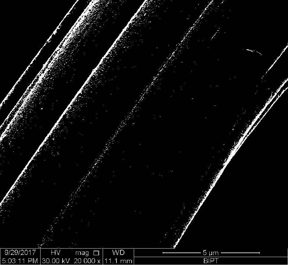 Active carbon fiber three-dimensional particle electrode catalyst and preparation method thereof