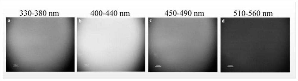 A kind of multicolor fluorescent hyperbranched polyurethane and preparation method thereof