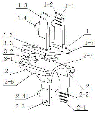 Spinous process and vertebral plate stabilizer