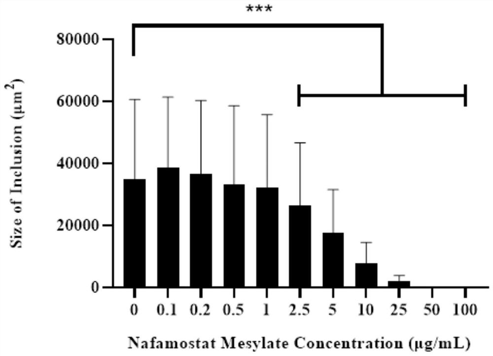 Application method of nafamostat mesylate to treatment of chlamydia infection of genital tract