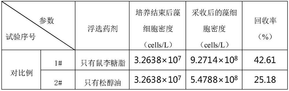 A method for harvesting Porphyridium algae based on foam flotation