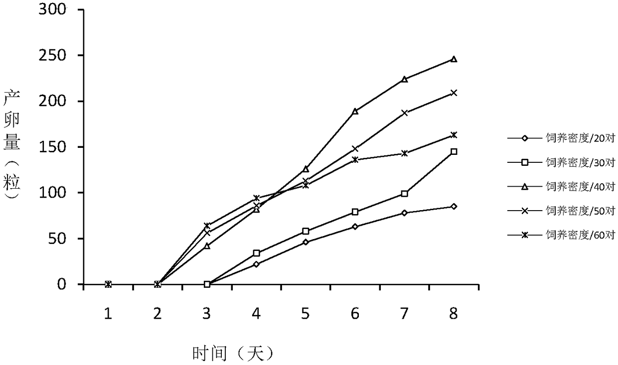 The Artificial Propagation Method of Dahma Wax Armor