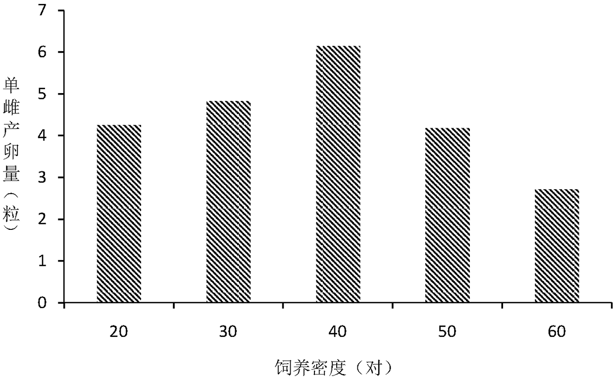 The Artificial Propagation Method of Dahma Wax Armor