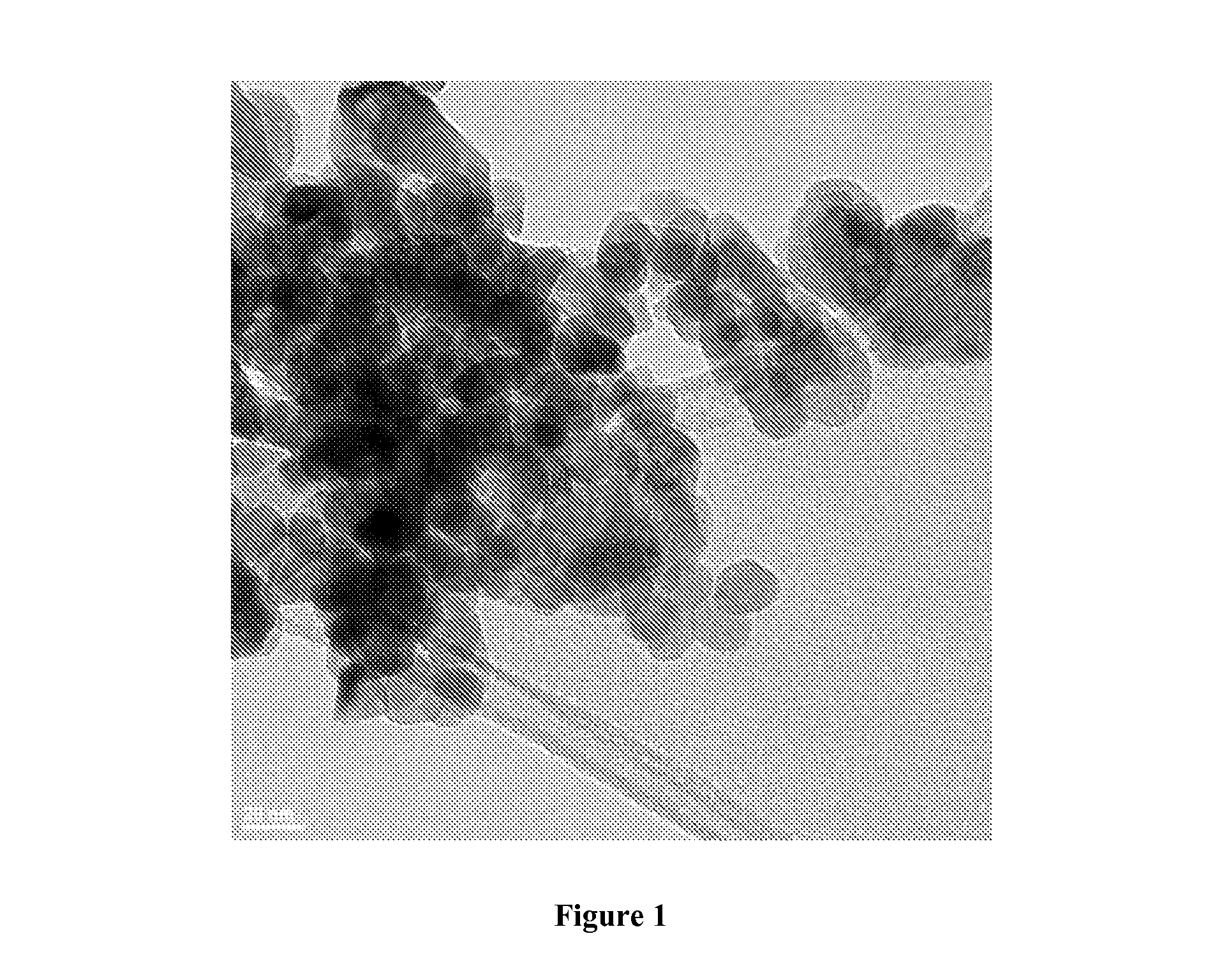 Reduction catalysts