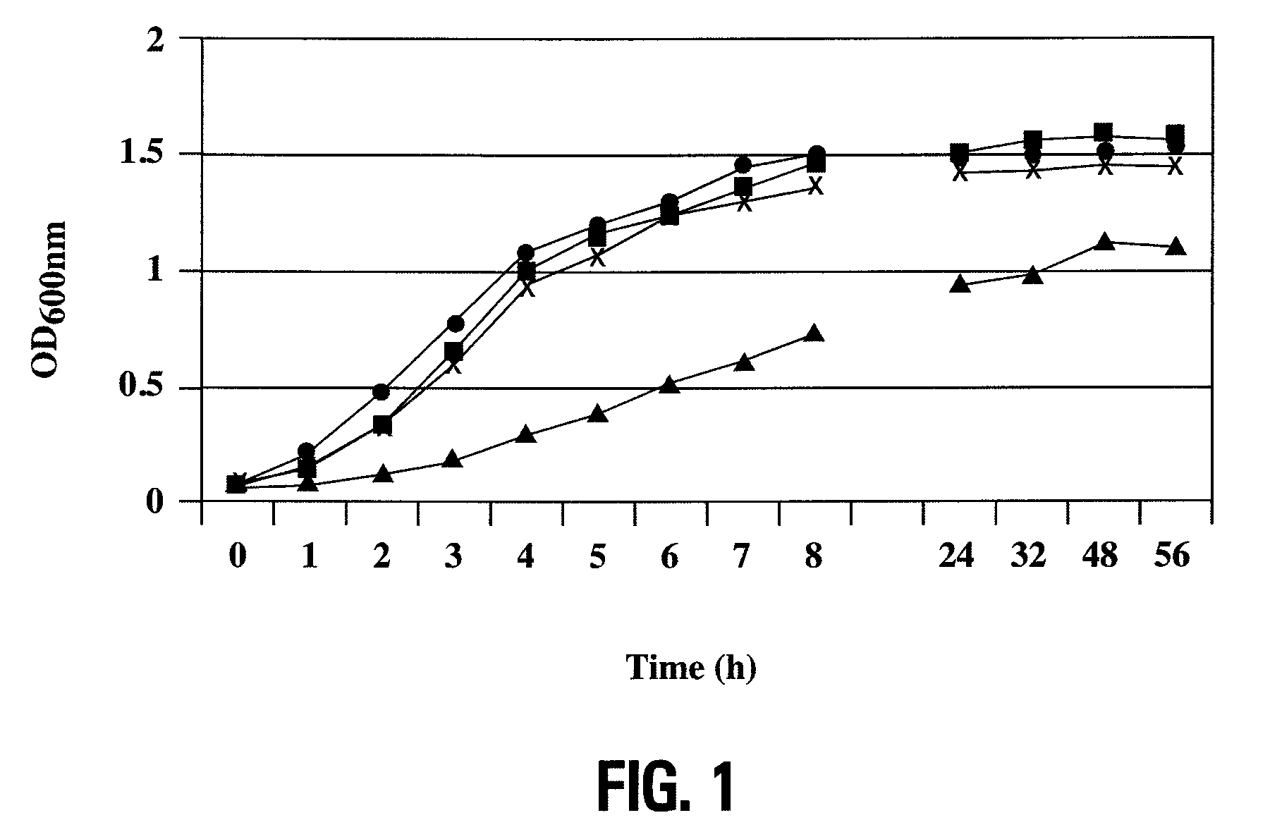 Lipid a deficient mutants of <i>Neisseria meningitidis </i>