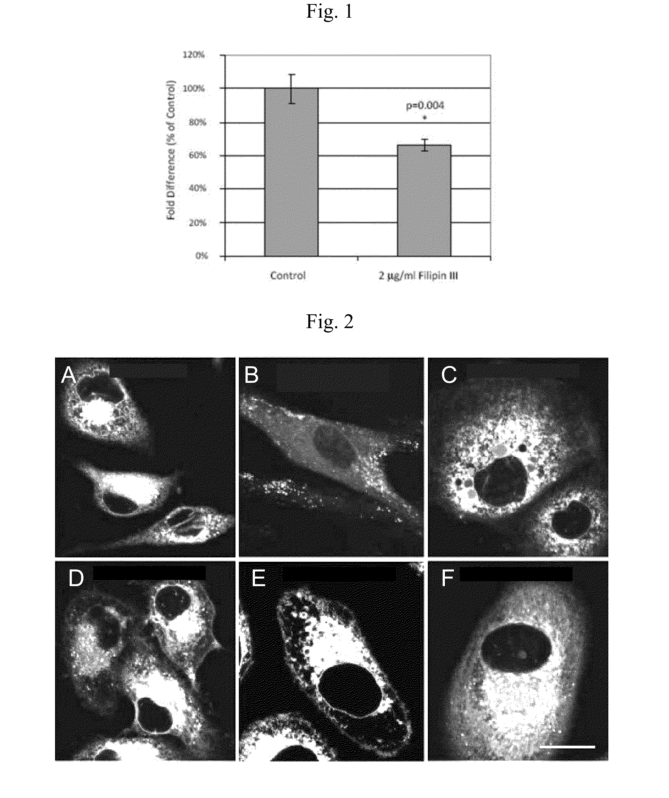 Phospholipid Ether Analogs as Cancer-Targeting Drug Vehicles