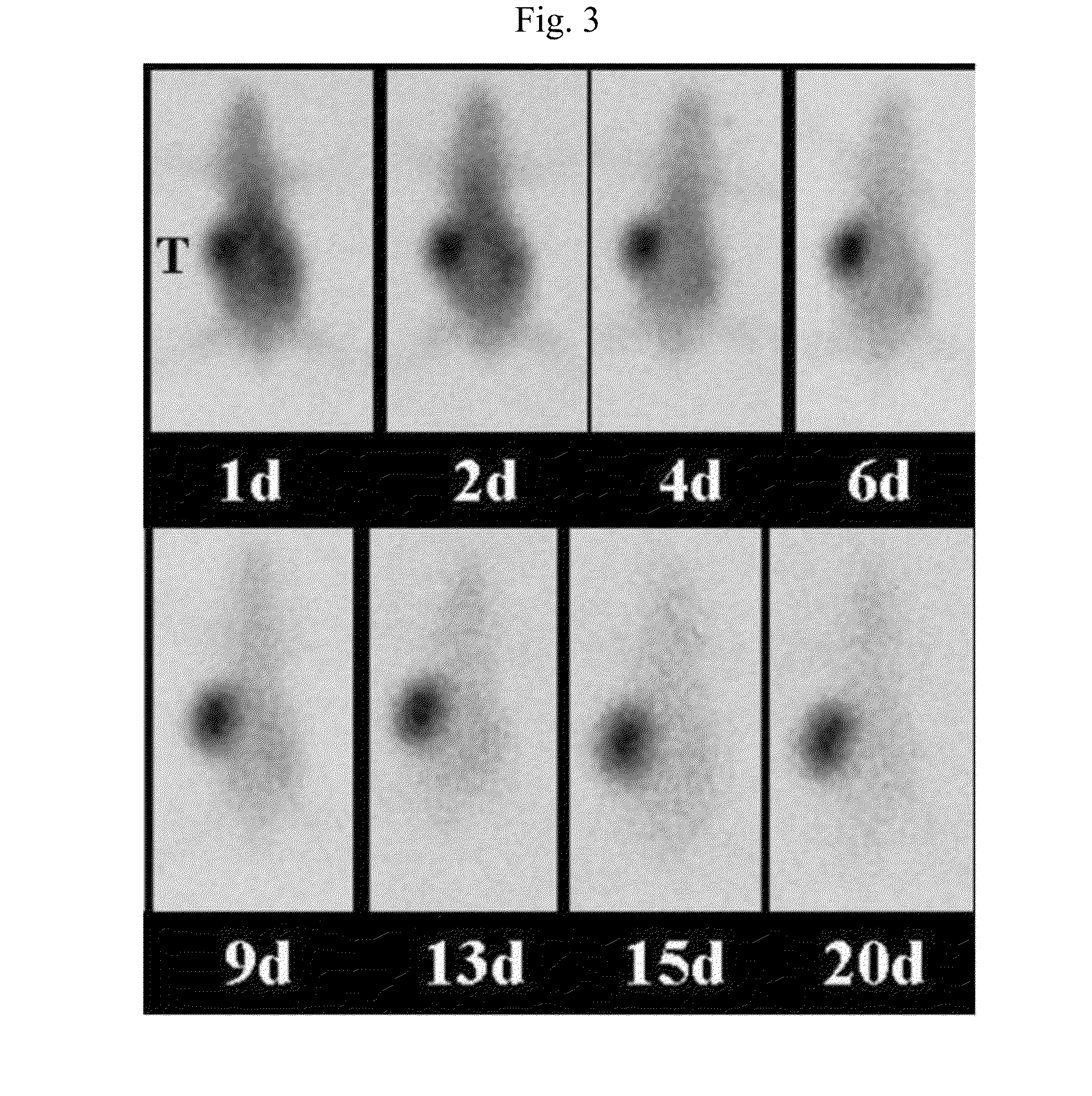 Phospholipid Ether Analogs as Cancer-Targeting Drug Vehicles