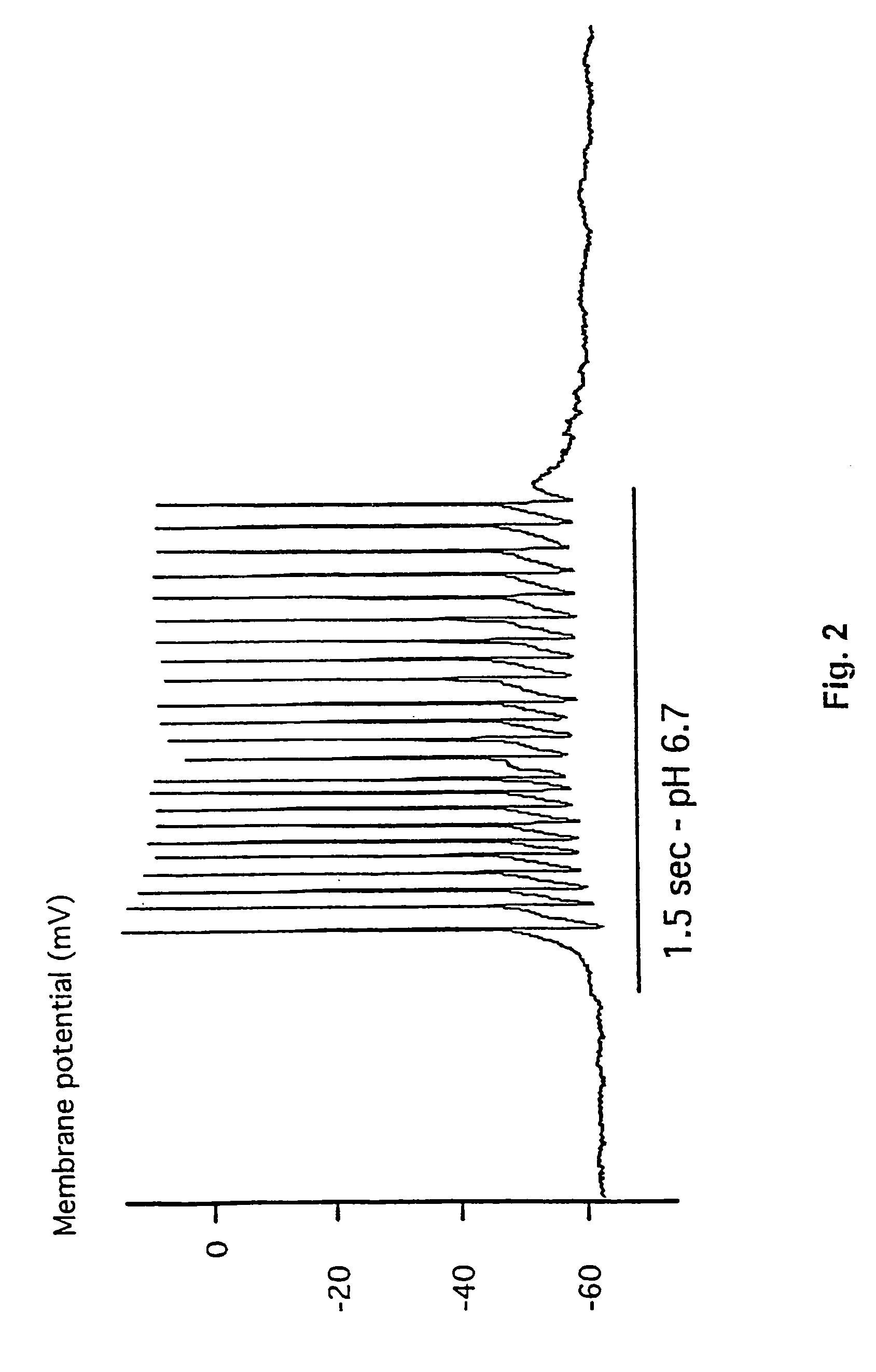 Inhibitors of proton-gated cation channels and their use in the treatment of ischaemic disorders