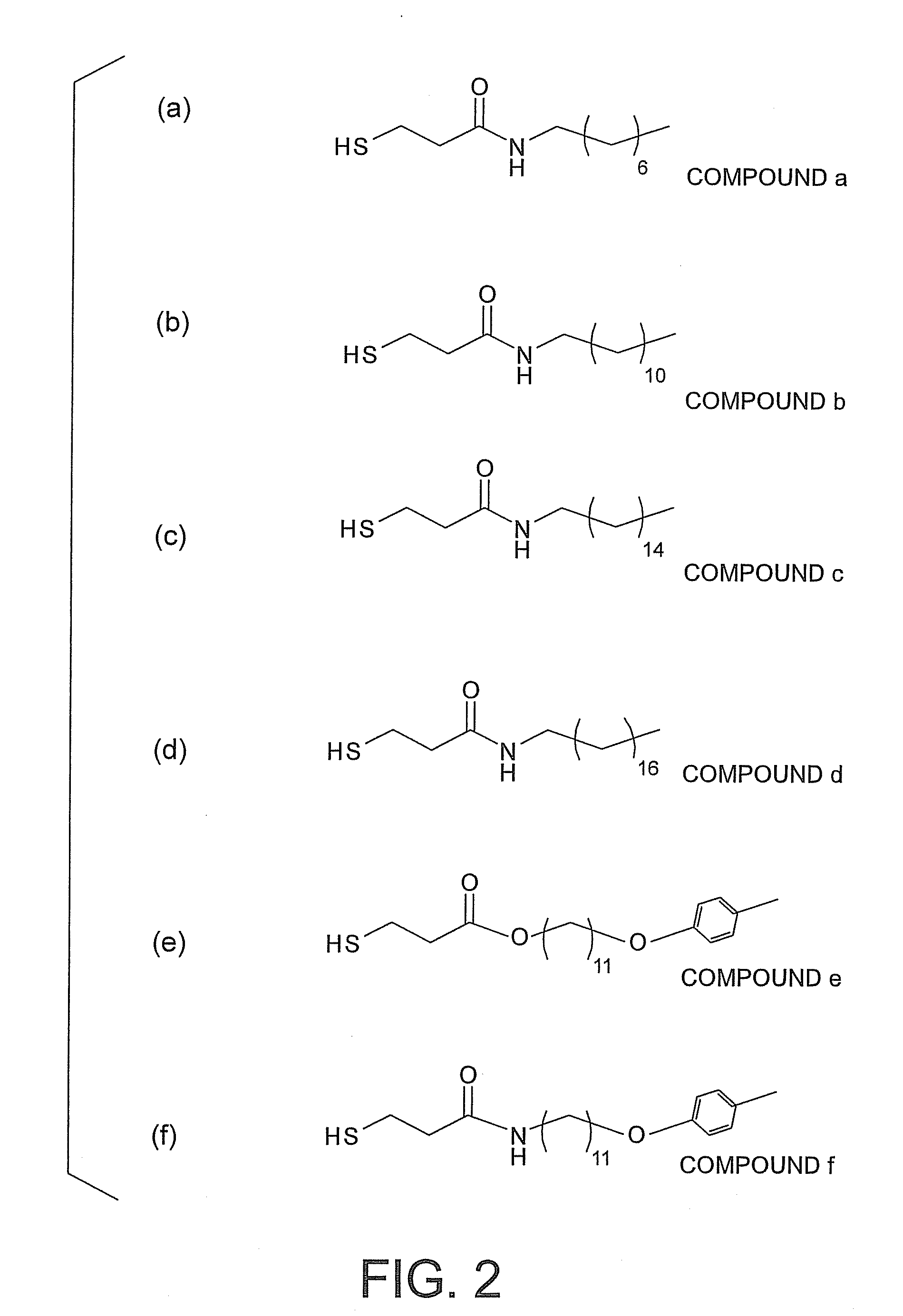 Particle and near-field optical waveguide