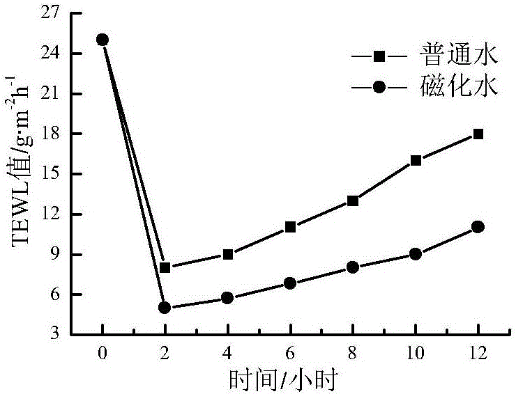 Spiral seaweed magnetic ion eye cream and preparation method thereof