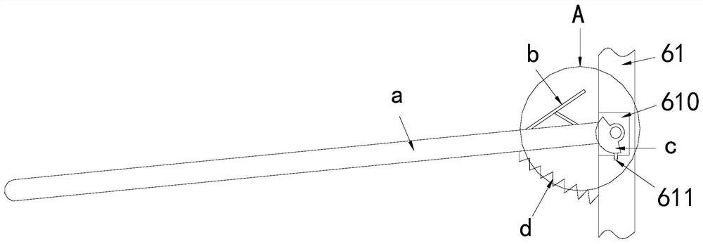 Collection and transportation device for agricultural products