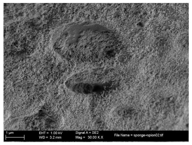 Method for preparing in-situ synthesis of sponge-supported iron oxide nanoparticle composites