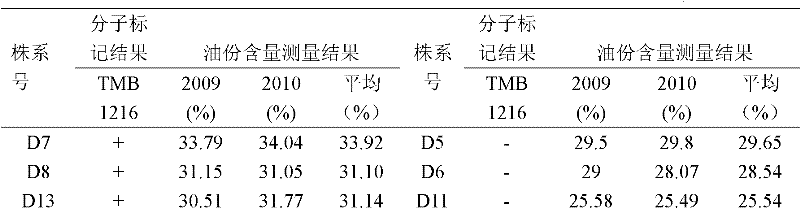 Molecular marker tightly linked with major QTL (Quantitative Trait Loci) of cotton seed oil content of upland cotton and application thereof