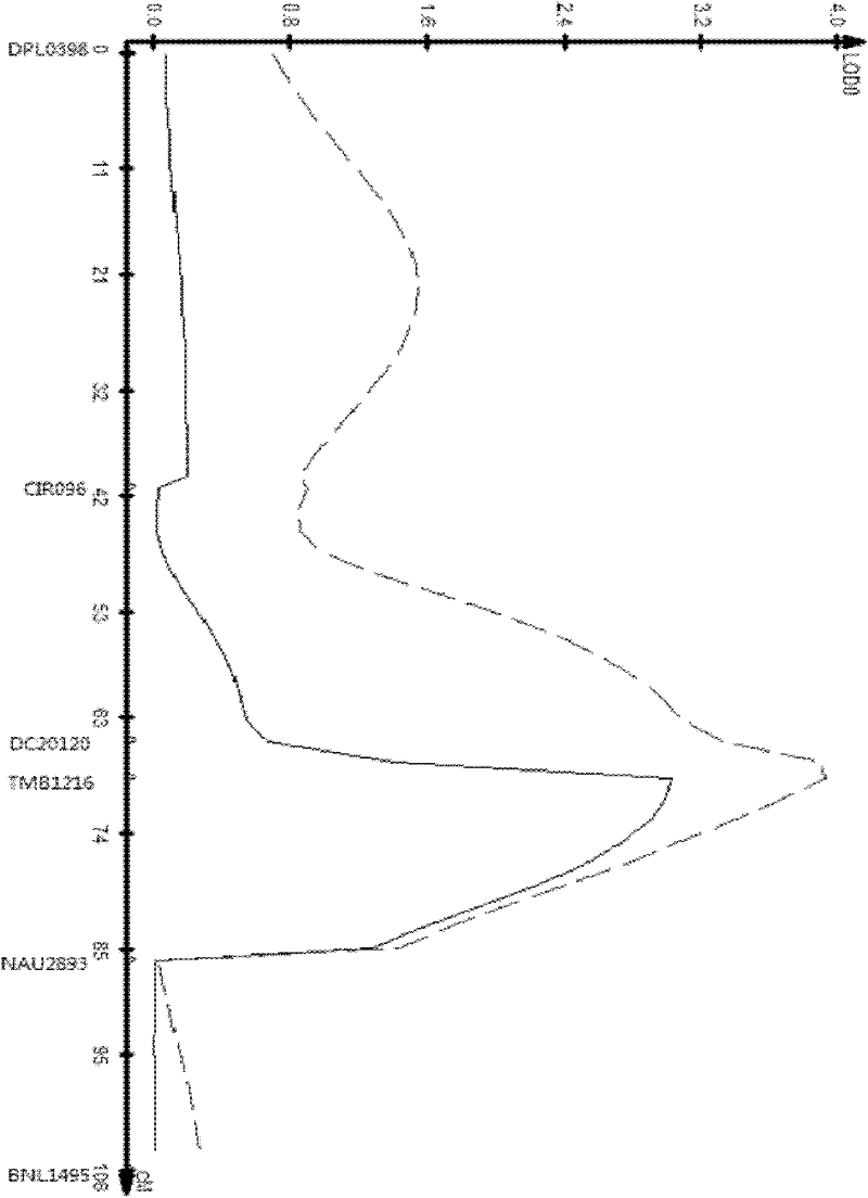 Molecular marker tightly linked with major QTL (Quantitative Trait Loci) of cotton seed oil content of upland cotton and application thereof