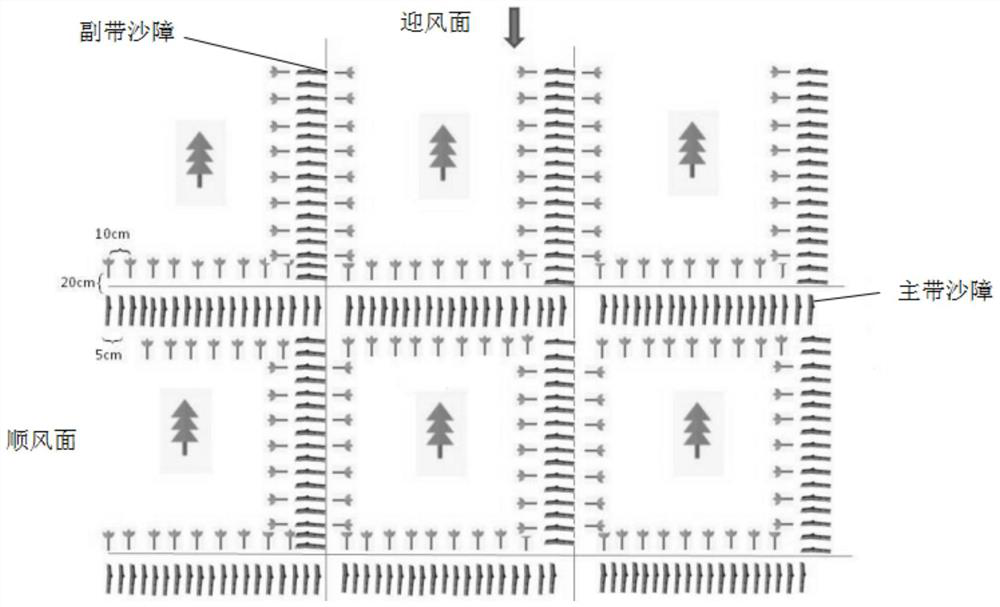 A sand-fixing control method for dead body and living body double row sand barrier grid