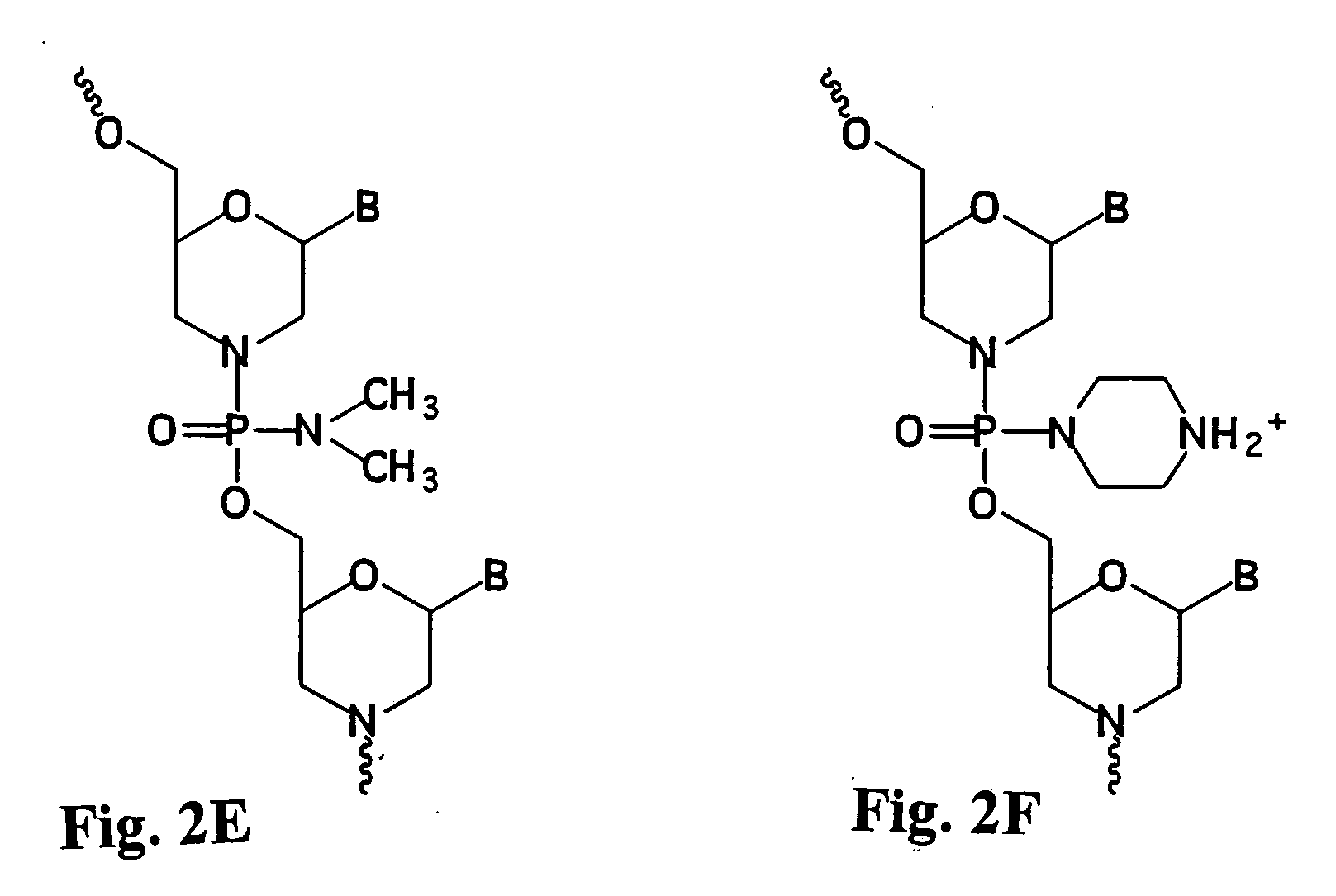 Antisense antibacterial method and compound