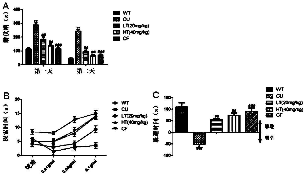 White tea extract as well as preparation method, administration method and application thereof in resisting depression