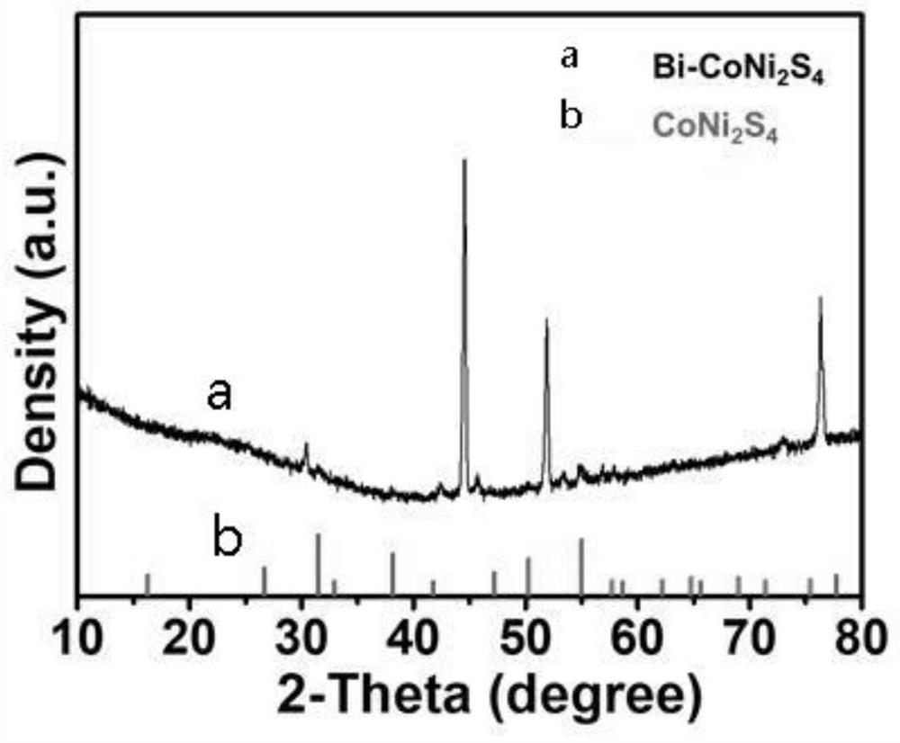 Preparation method of bismuth-doped bimetallic sulfide electrode for electro-catalytic oxidation of urea