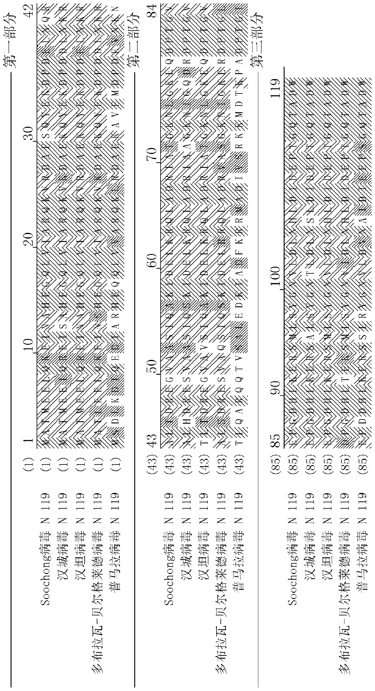 Composition for diagnosing hemorrhagic fever with renal syndrome, comprising seoul virus- and puumala virus- derived recombinant nucleocapsid protein and hantaan virus-derived recombinant glycoprotein, and diagnostic kit comprising same