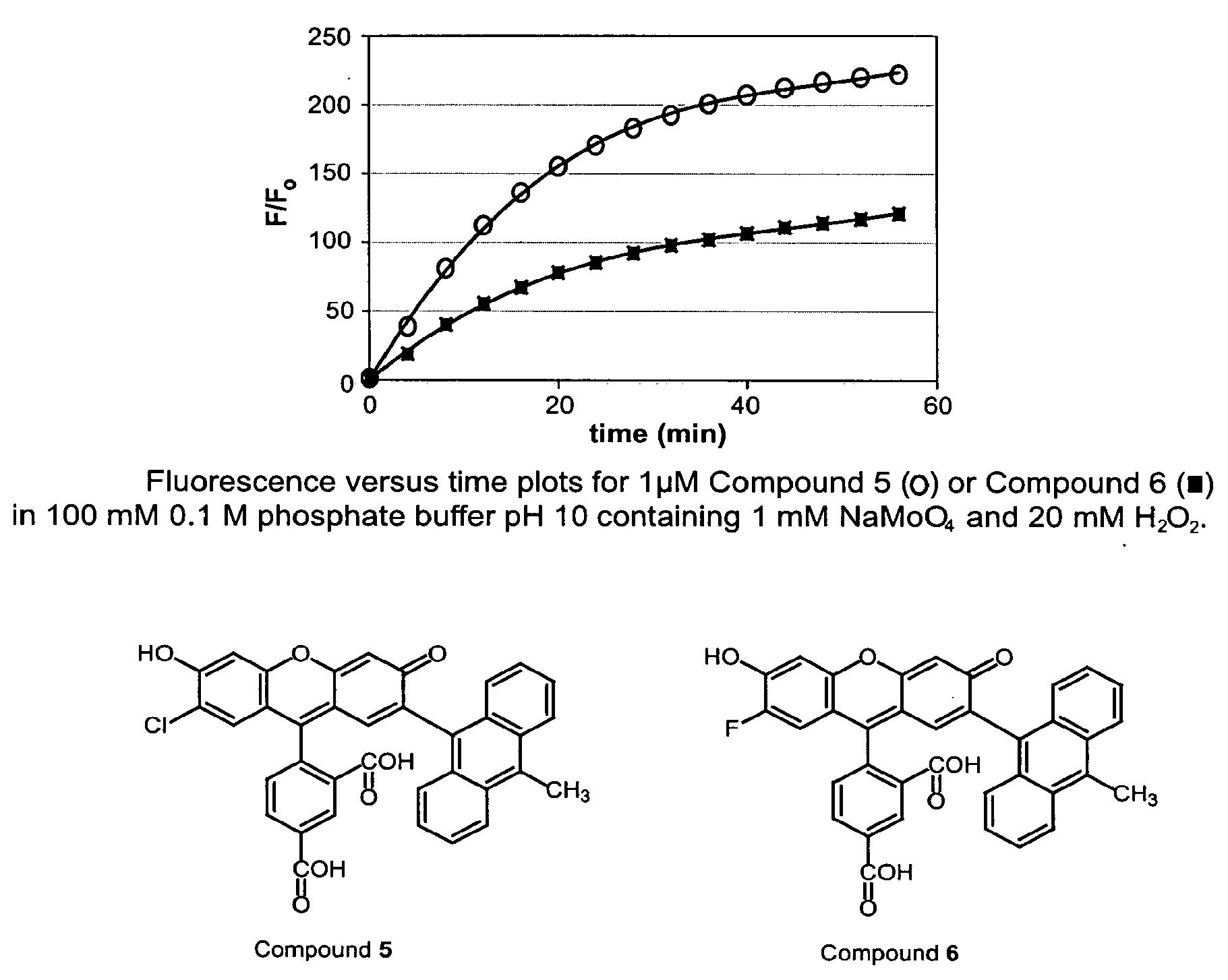 Environmental Sensitive Fluorogenic Compounds and Their Application for Singlet Oxygen and Protein Detection